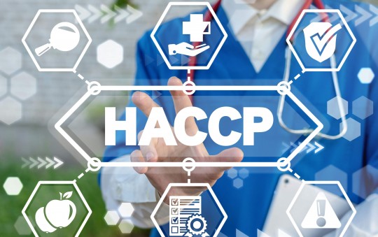 immagine Formazione e Consulenza HACCP
