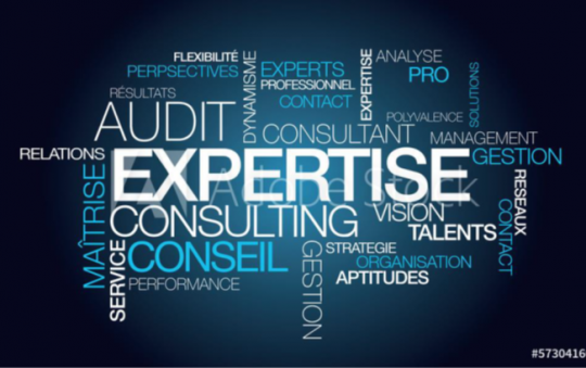 immagine Audit